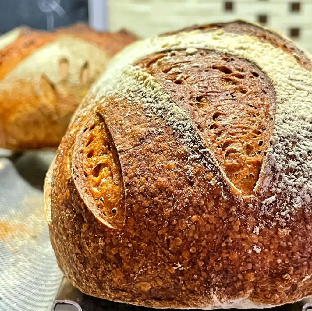 Spelt (100%) - 1.2kg (Whole)