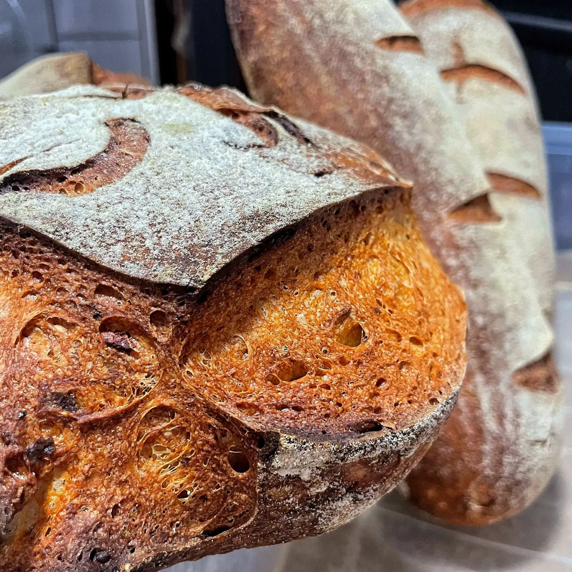 Jalapeño, Chile y Queso - 1.2kg