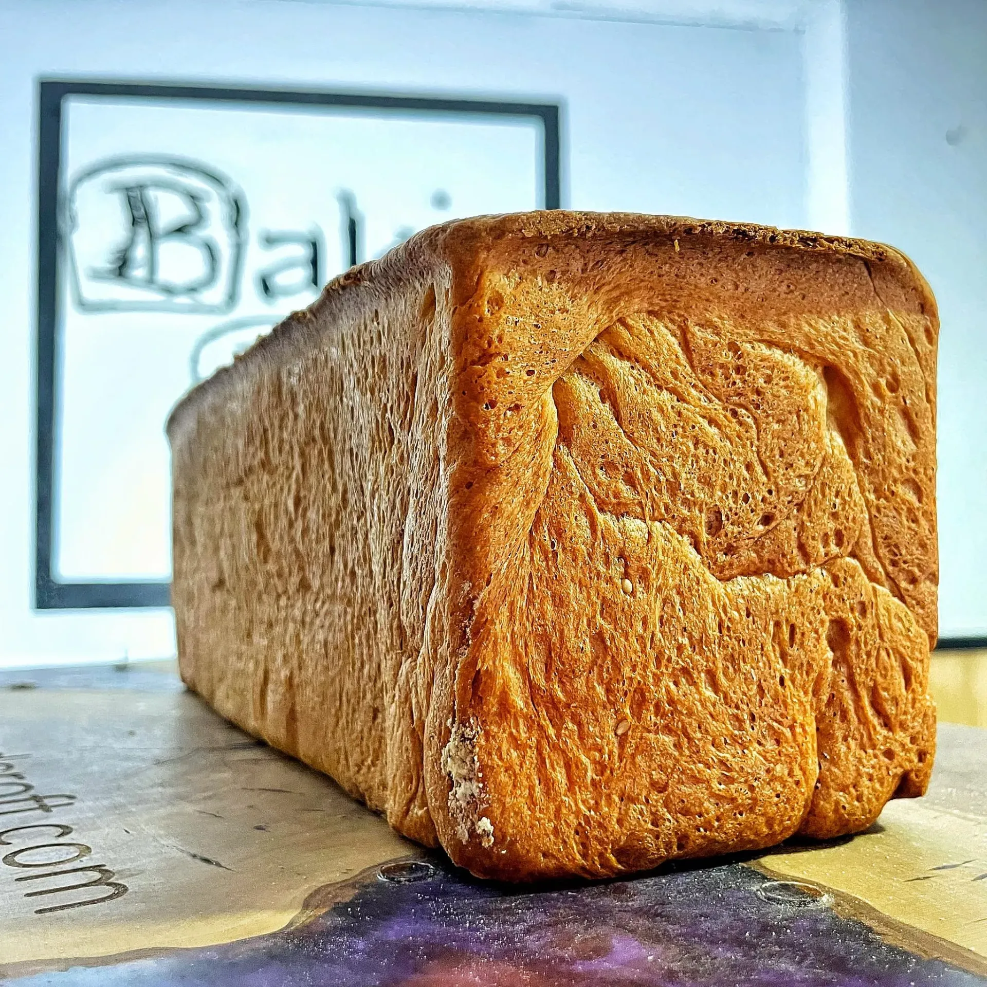 Brioche (Available Now)